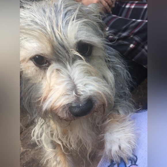 Meet your Posher, Jing - Picture 8 of 9